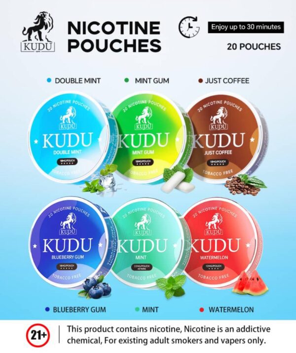 Kudu Nicotine Pouches – Ajman Sharjah 20 Pouches