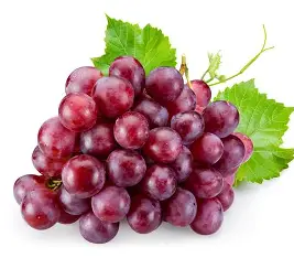 Grape Fresh shisha flavor {Bahraini}