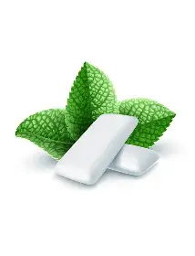 Gum Mint Fresh shisha flavor {Bahraini}