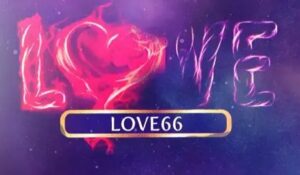 love66 Fresh shisha flavor 250g Hookah Tobacco