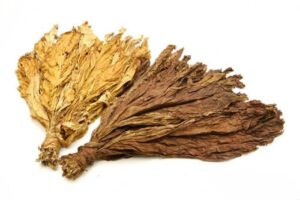 Dried tobacco leaves-ajman 
